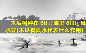 木瓜树种在 🐦 哪里 🌿 风水好(木瓜树风水代表什么作用)